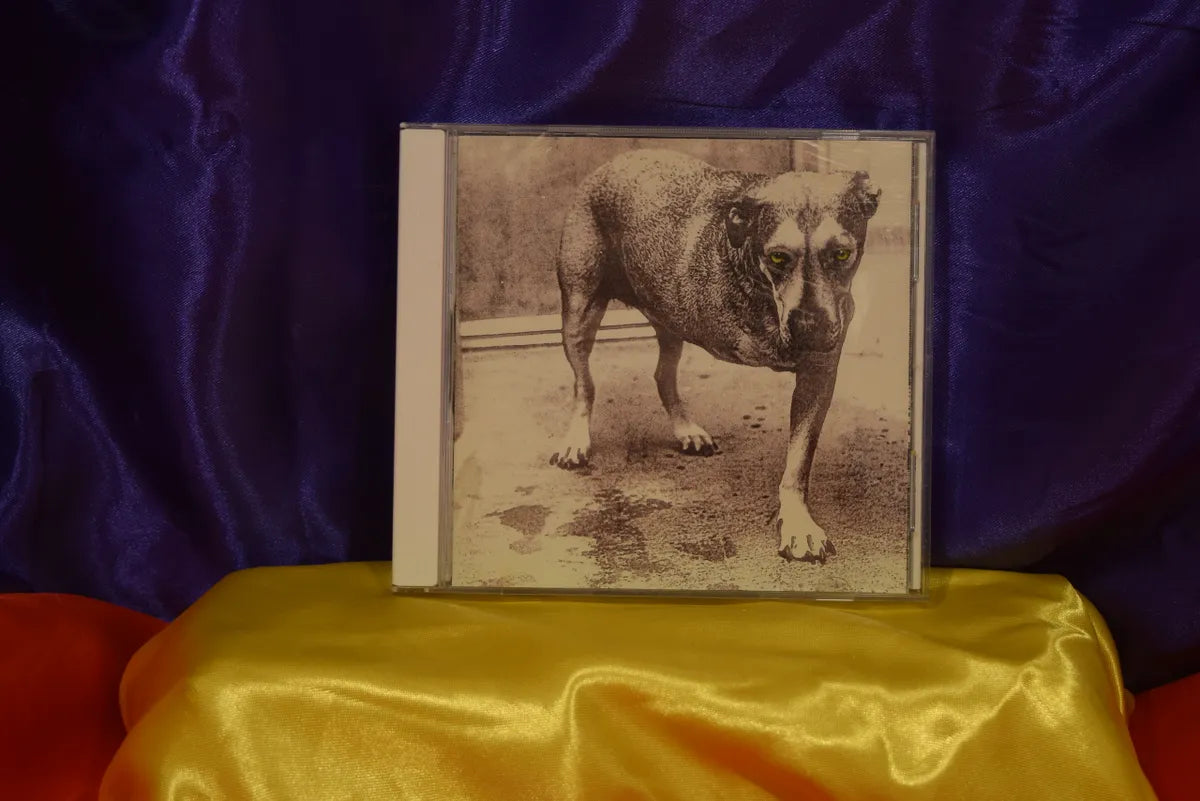 ALICE IN CHAINS "alice in chains"