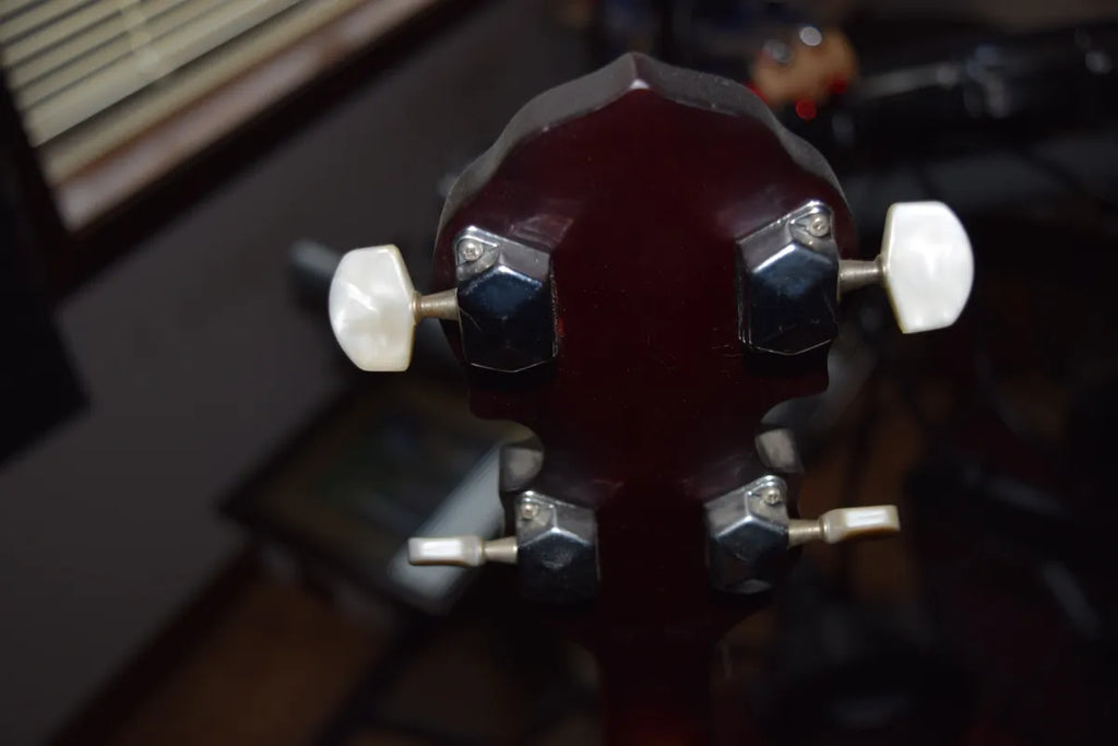 Rogue 5-String Banjo w/ Remo Head