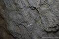 T.N.T Customs Rose Quartz Pendant  Necklace